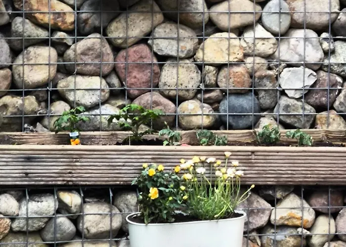 Apartament Blumenberg Ferienunterkunft
